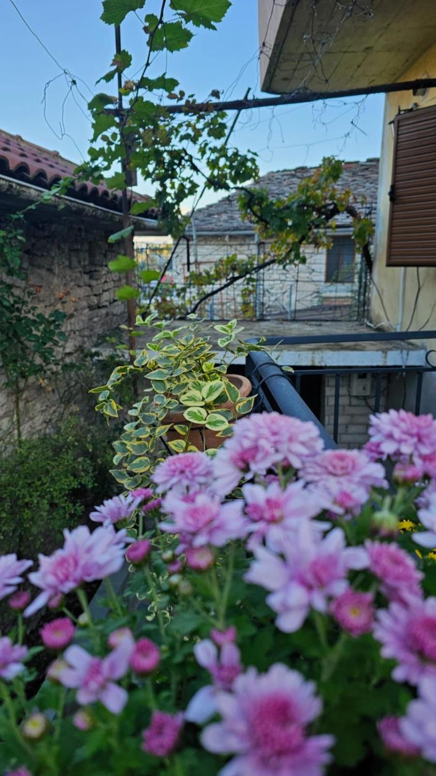 Luigi Guest House จีโรคาสเตอร์ ภายนอก รูปภาพ